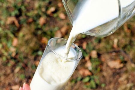 Industri Susu Jadi Bintang Baru Ekonomi RI